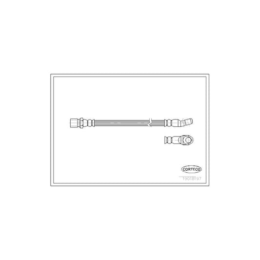 Corteco 19018197 Brake Hose | ML Performance UK