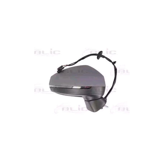 Blic 5402-25-2001028P Wing Mirror For Audi A3