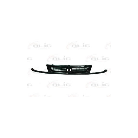 Blic 6502-07-6607990P Radiator Grille For Seat Ibiza II (6K1)