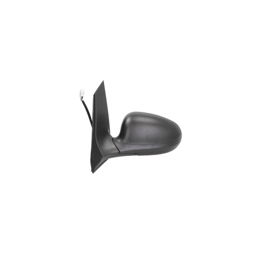 Blic 5402-04-0203897P Wing Mirror