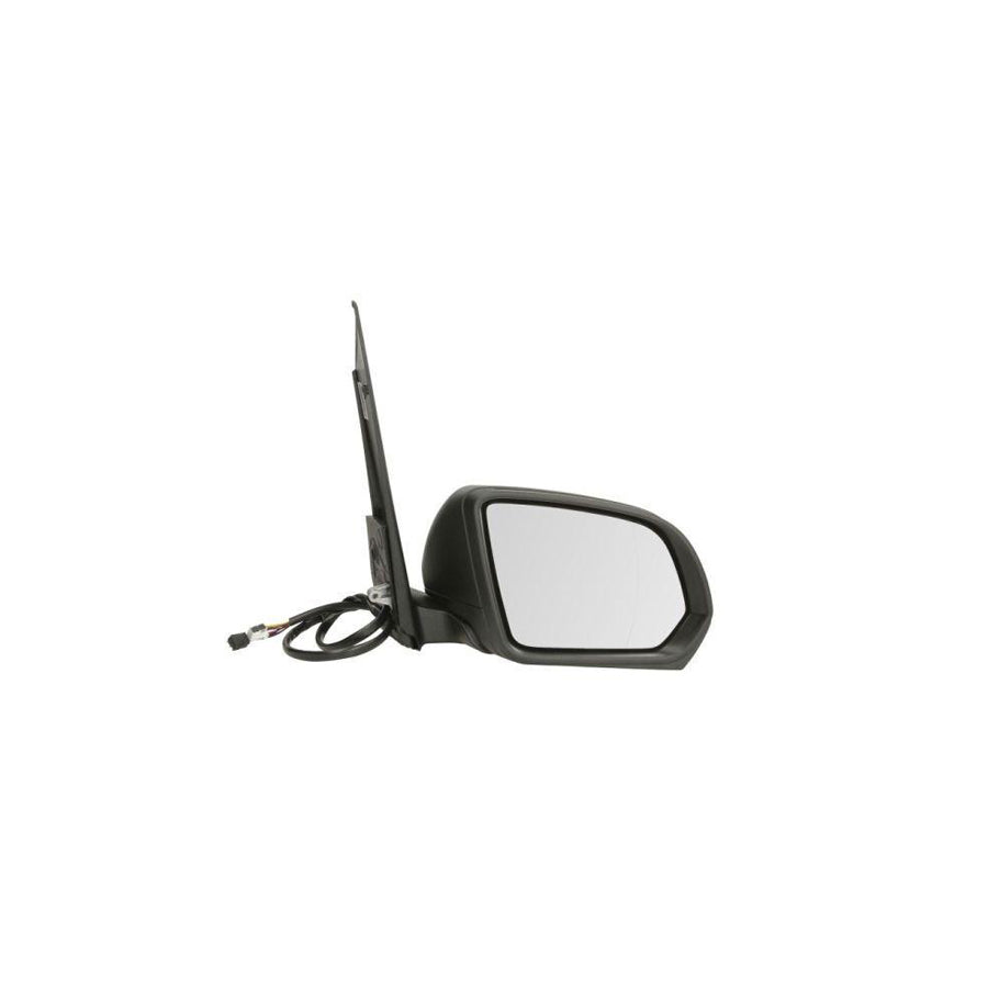 Blic 5402-04-0203896P Wing Mirror