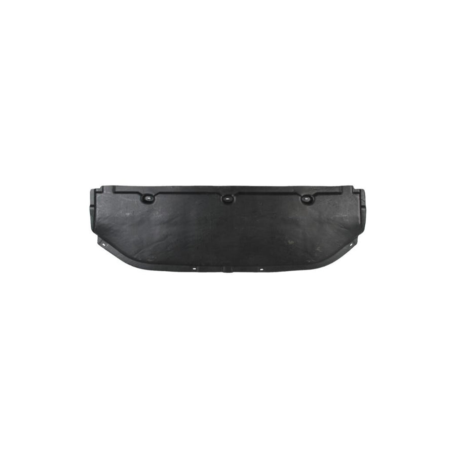 Blic 6601-02-1617881P Skid Plate