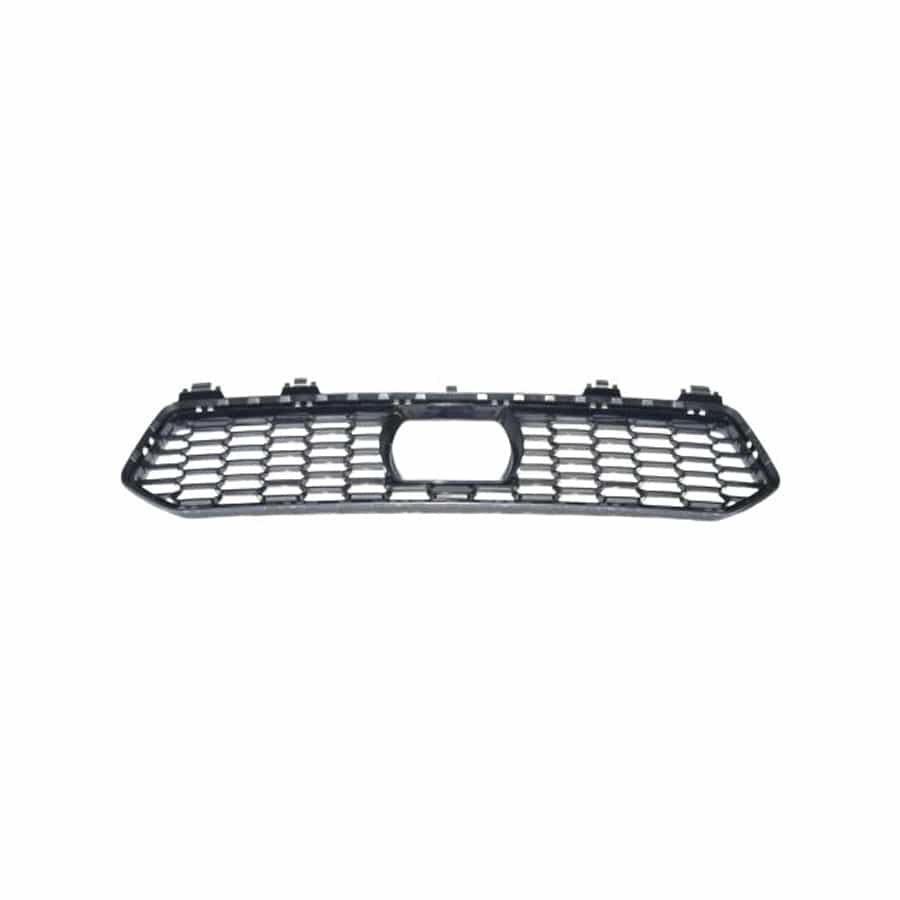 Genuine BMW 51118080602 G30 Center Grill (Inc. M5) | ML Performance UK Car Parts