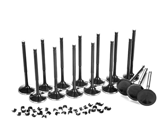 Supertech Audi Volkswagen 1.8T 2.7T Performance Valves