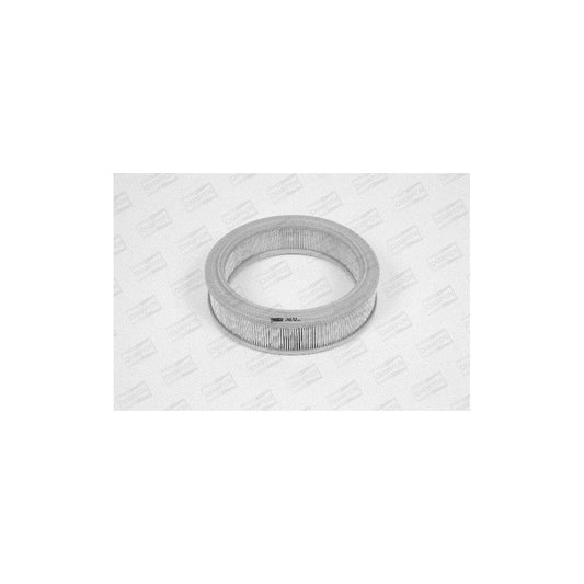 Champion W121/606 Air Filter