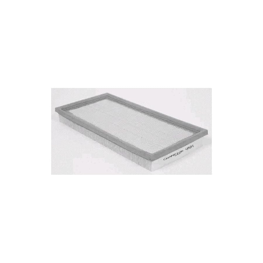 Champion CAF100531P Air Filter