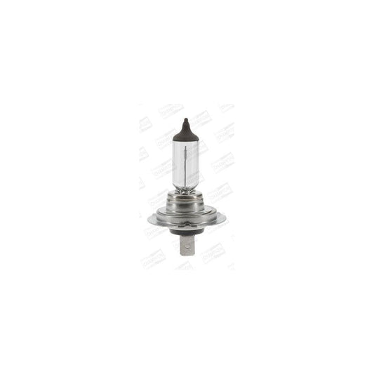 Champion Version: +50 CBH101F Bulb, Spotlight