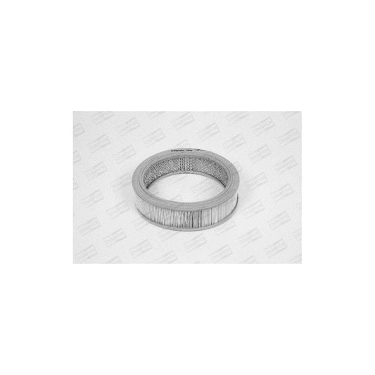 Champion W106/606 Air Filter