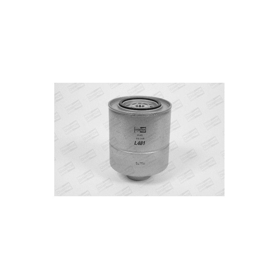 Champion L481/606 Fuel Filter