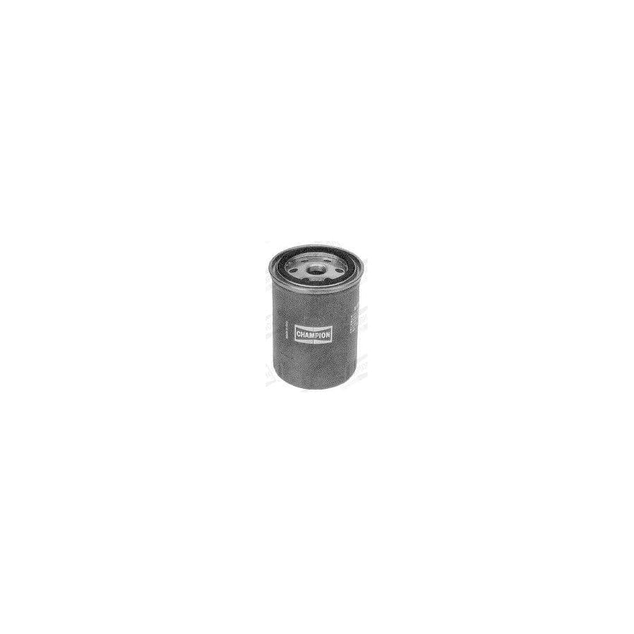 Champion L115/606 Fuel Filter
