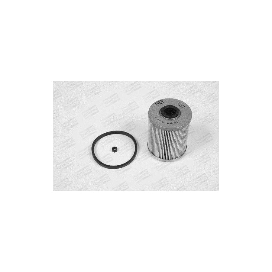 Champion L253/606 Fuel Filter