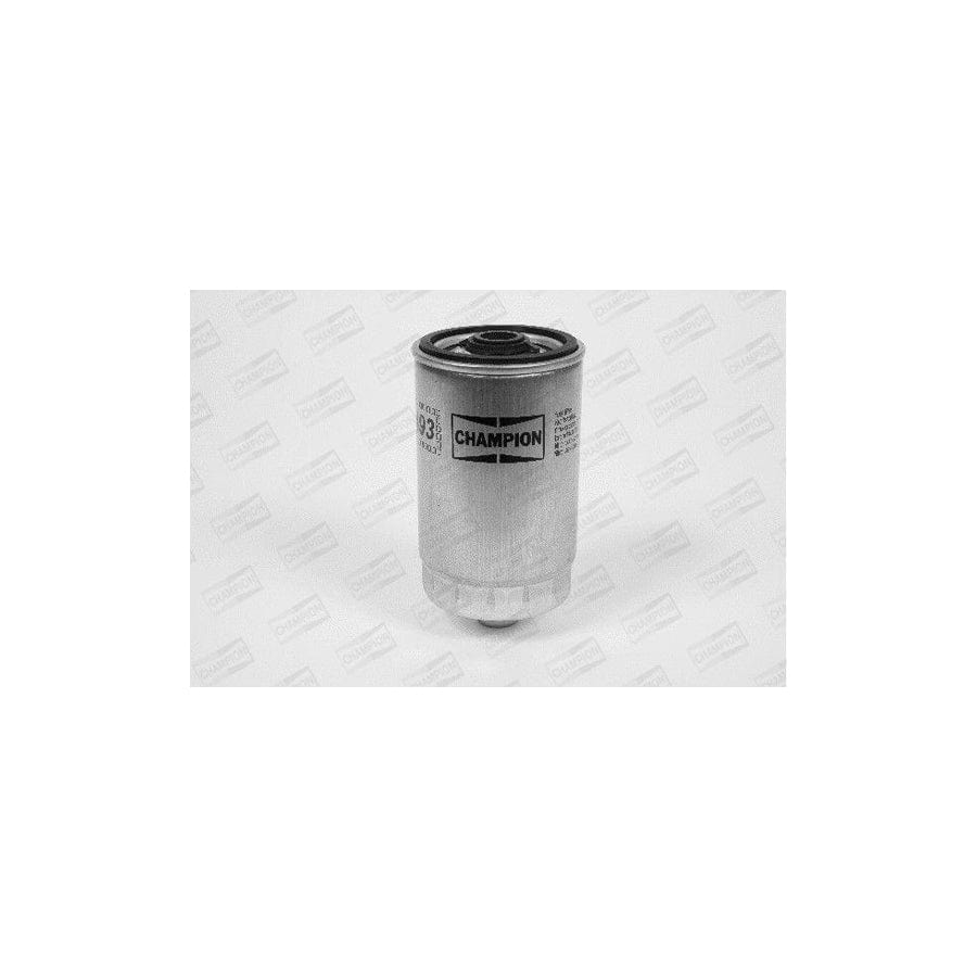 Champion L493/606 Fuel Filter