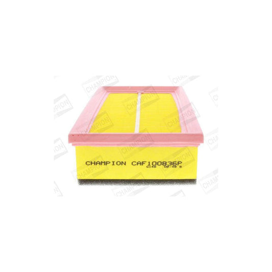 Champion CAF100836P Air Filter