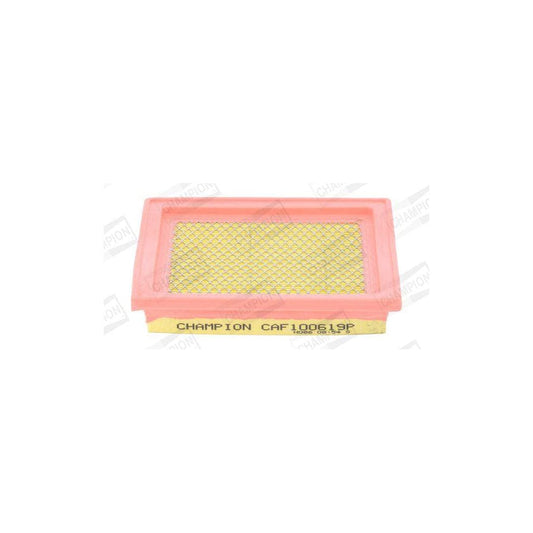 Champion CAF100619P Air Filter