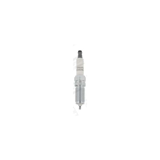 Champion OE252 Spark Plug