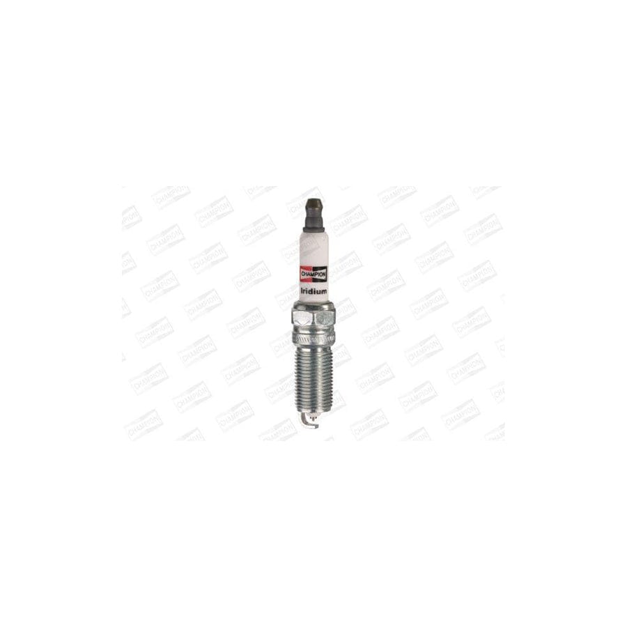 Champion Platinum Ct Oe189/R04 Spark Plug