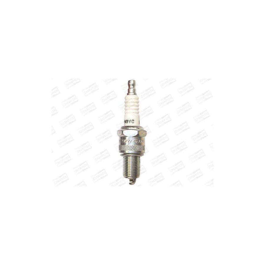 Champion Powersport Oe001/R04 Spark Plug