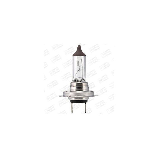 Champion Version: Long Lifetime CBH114L Bulb, Spotlight