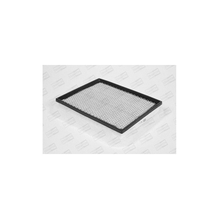 Champion U794/606 Air Filter