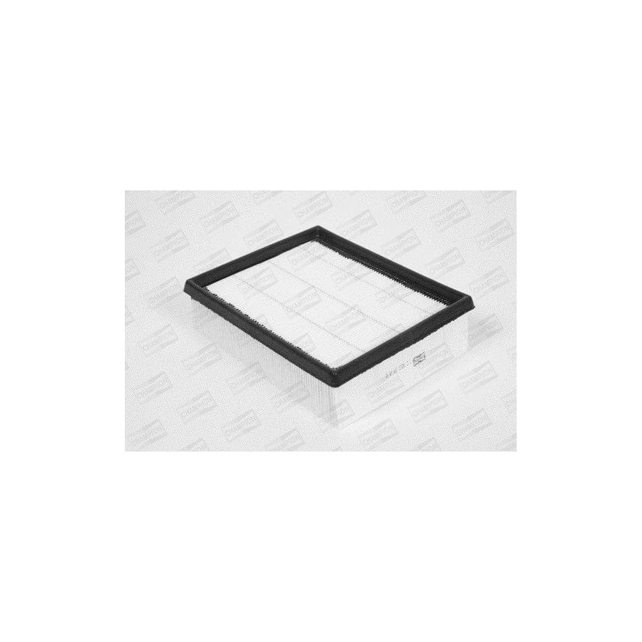 Champion U641/606 Air Filter