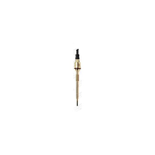 Champion CPSG007 Glow Plug