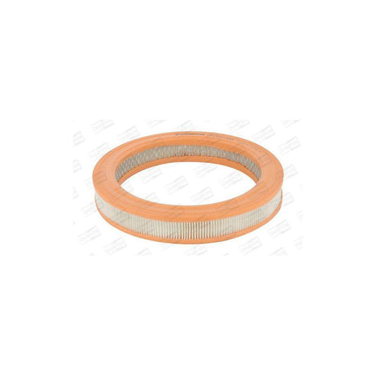 Champion CAF100155R Air Filter