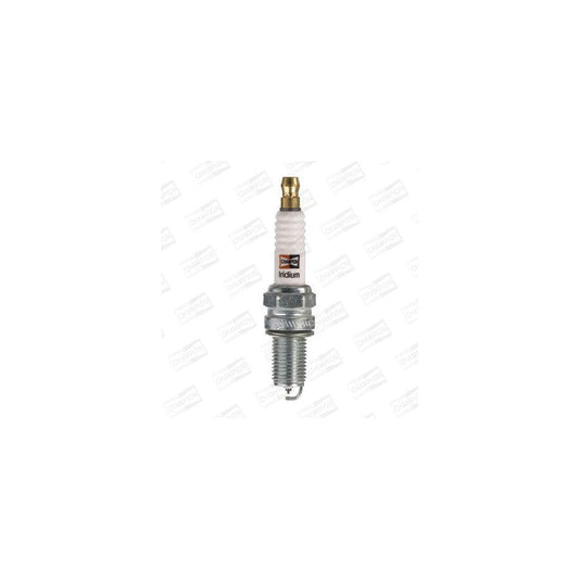 Champion CCH9701 Spark Plug