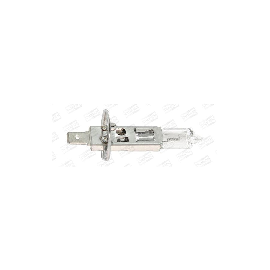 Champion Version: Standard CBH01S Bulb, Spotlight
