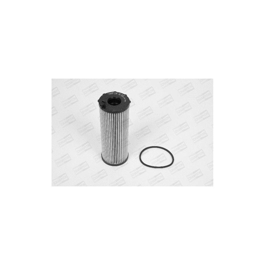 Champion Xe565/606 Oil Filter