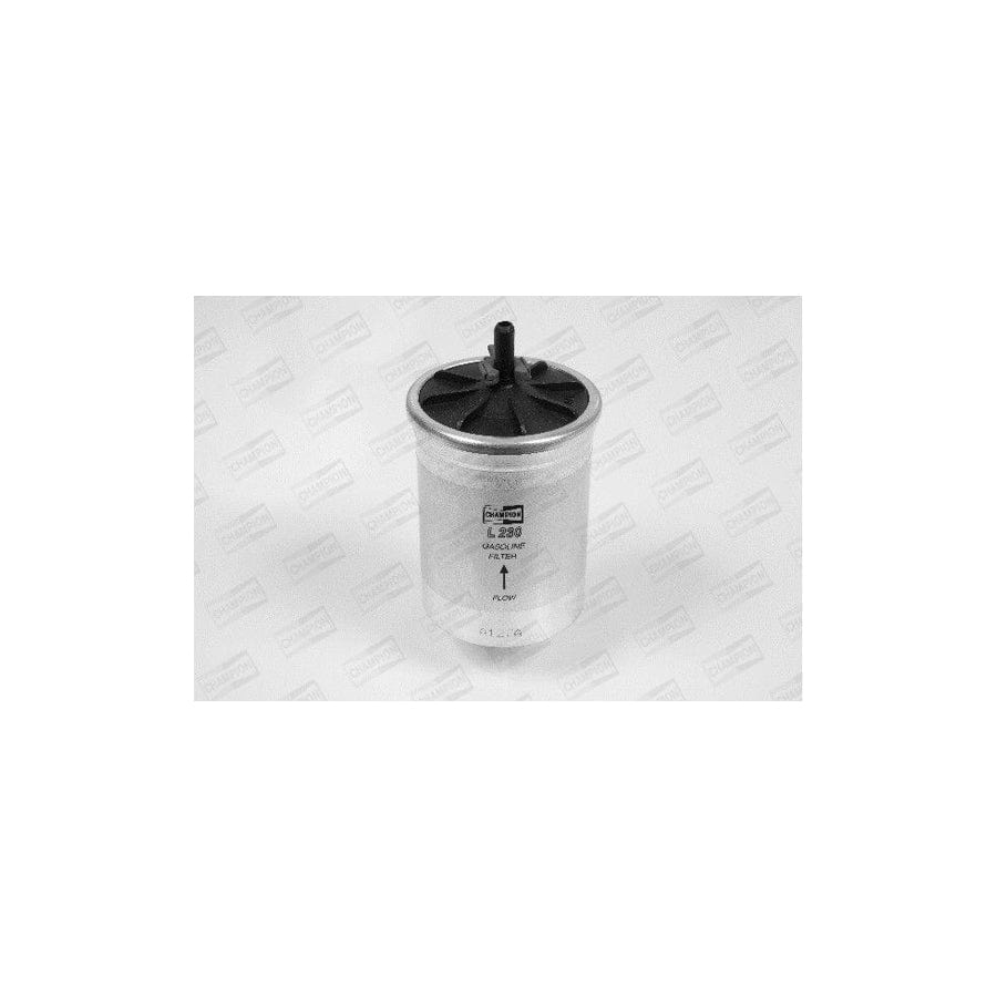Champion L230/606 Fuel Filter