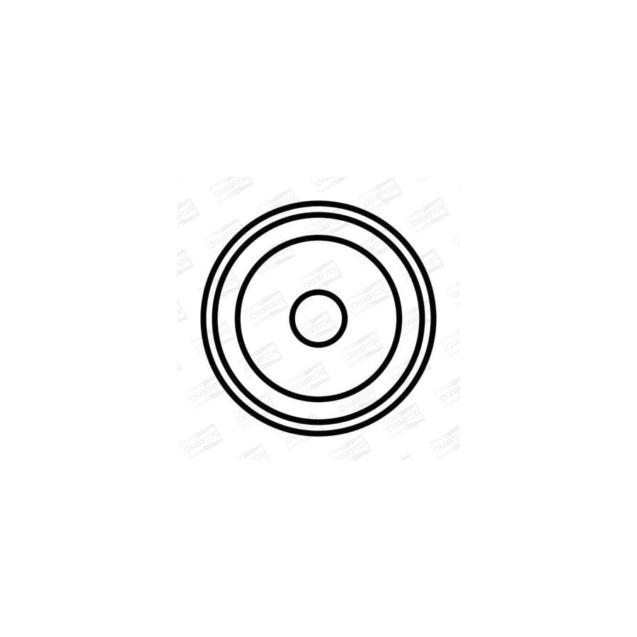 Champion BAEA340 Ignition Coil